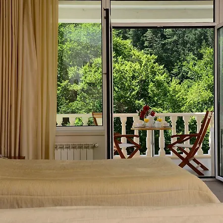 Evergreen Palace 3* Ribarica