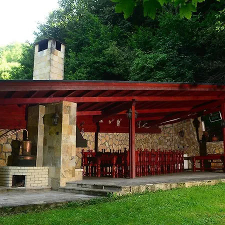 Hotel Evergreen Palace 3*